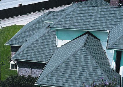 shingle 2